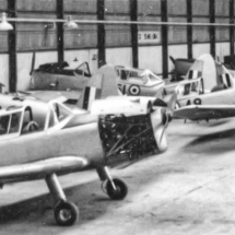 13-chipmunks-in-hanger-wg-429-435148-53-or-57-45-eric-gayton-e1529768796300-Edit